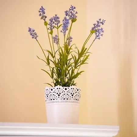 B&B Maison De Didi 로마