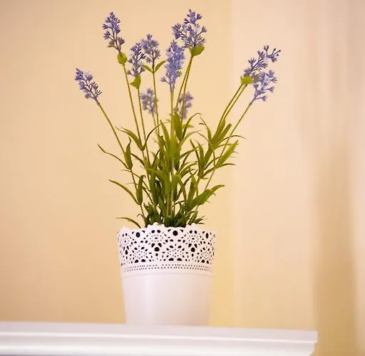 Bed & Breakfast Maison De Didi Rom